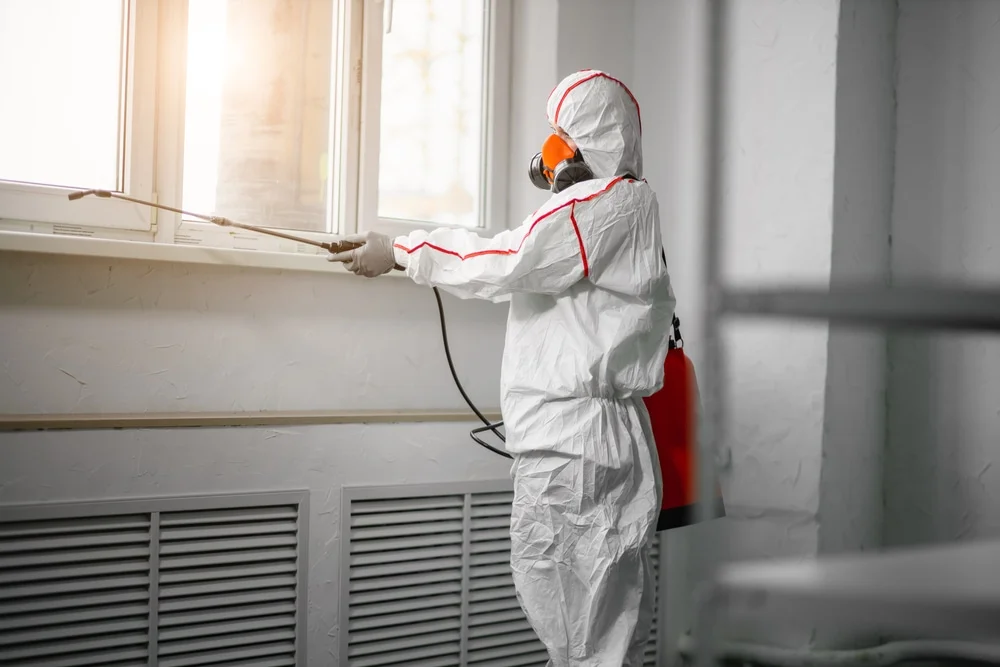 Professional mold remediation services in Southmayd, TX